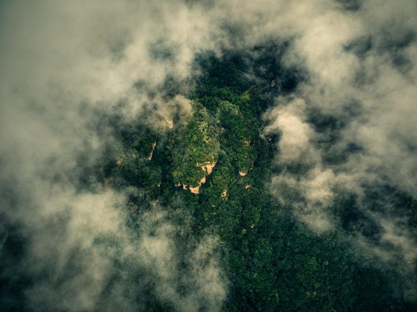 Zoom sur le parcours pour devenir épidémiologiste en santé publique